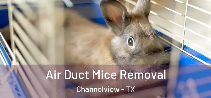 Air Duct Mice Removal Channelview - TX