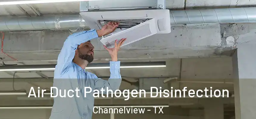 Air Duct Pathogen Disinfection Channelview - TX