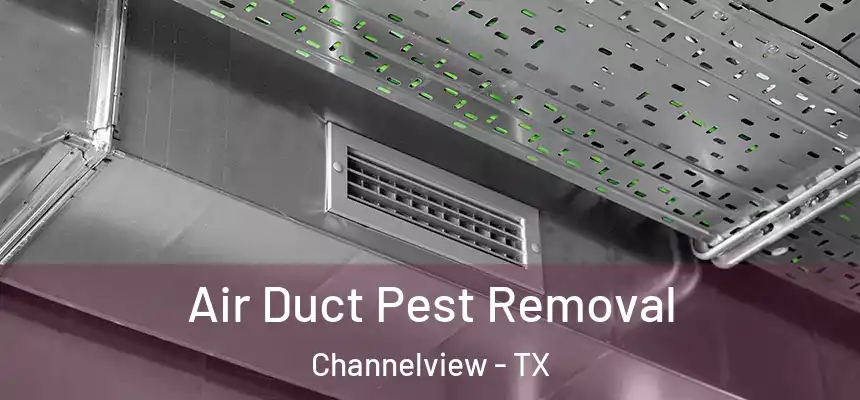  Air Duct Pest Removal Channelview - TX