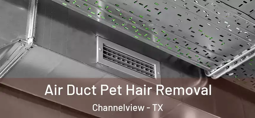 Air Duct Pet Hair Removal Channelview - TX
