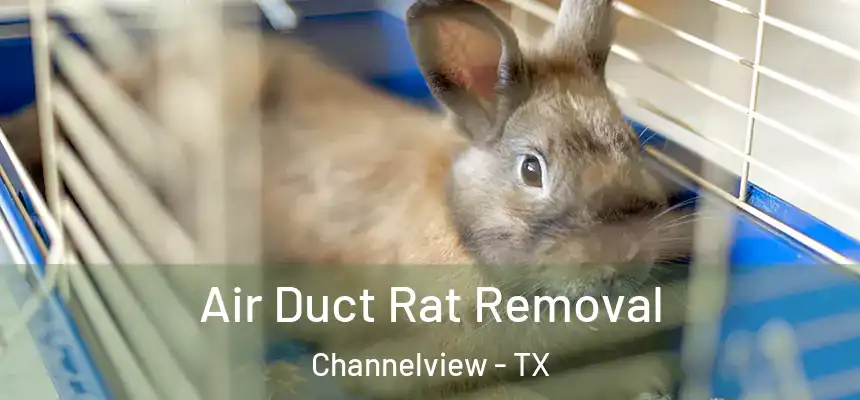 Air Duct Rat Removal Channelview - TX