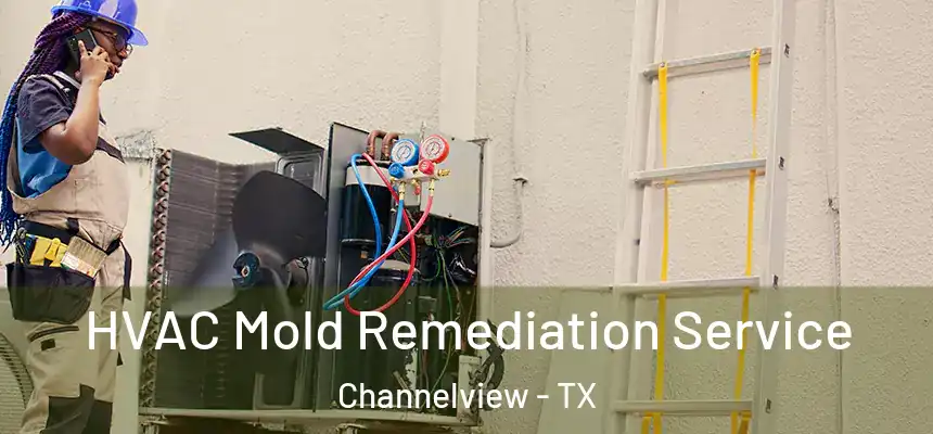  HVAC Mold Remediation Service Channelview - TX