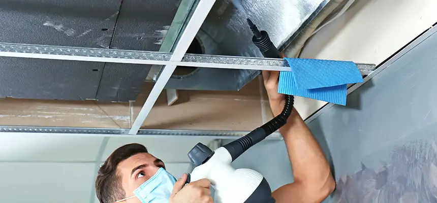 Our Air Duct Rodent Removal Services in Channelview, TX