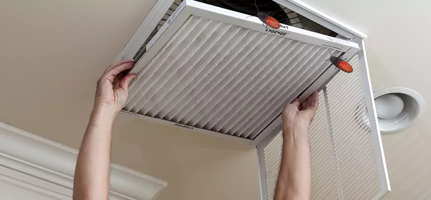 Our Insect Removal from Air Ducts Services in Channelview, TX