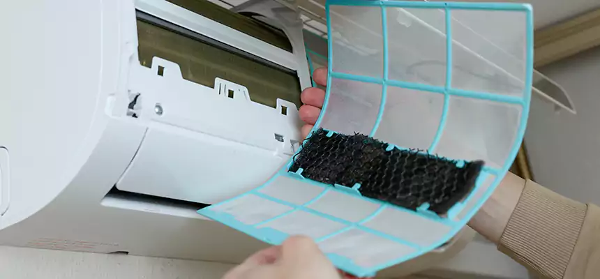 Gentle Ductwork Odor-Control Pet Dander Duct Cleaning in Channelview, TX