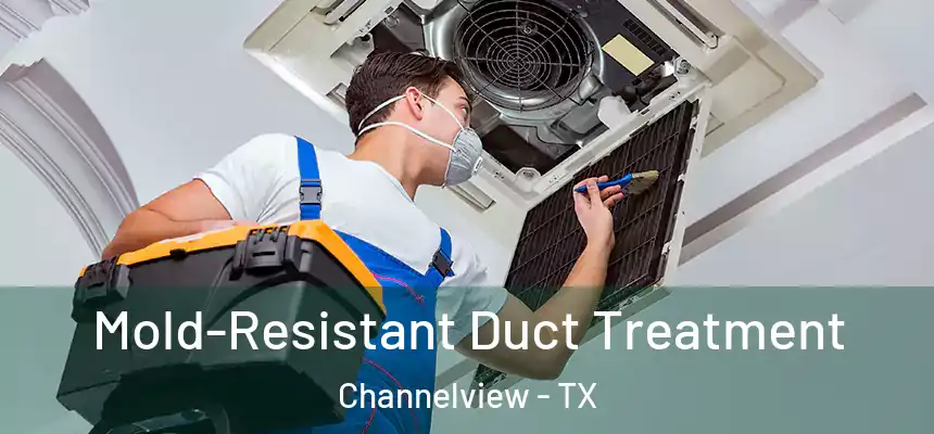 Mold-Resistant Duct Treatment Channelview - TX