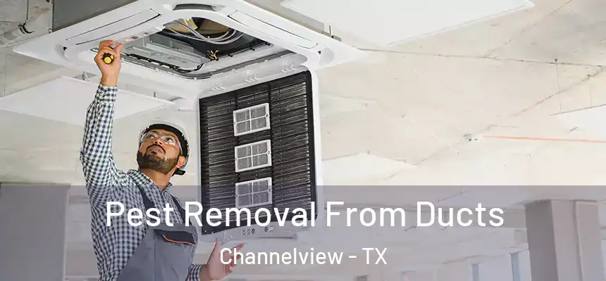 Pest Removal From Ducts Channelview - TX