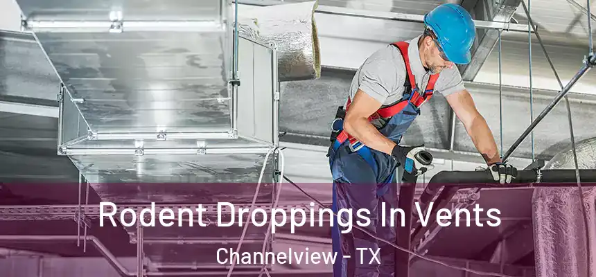  Rodent Droppings In Vents Channelview - TX