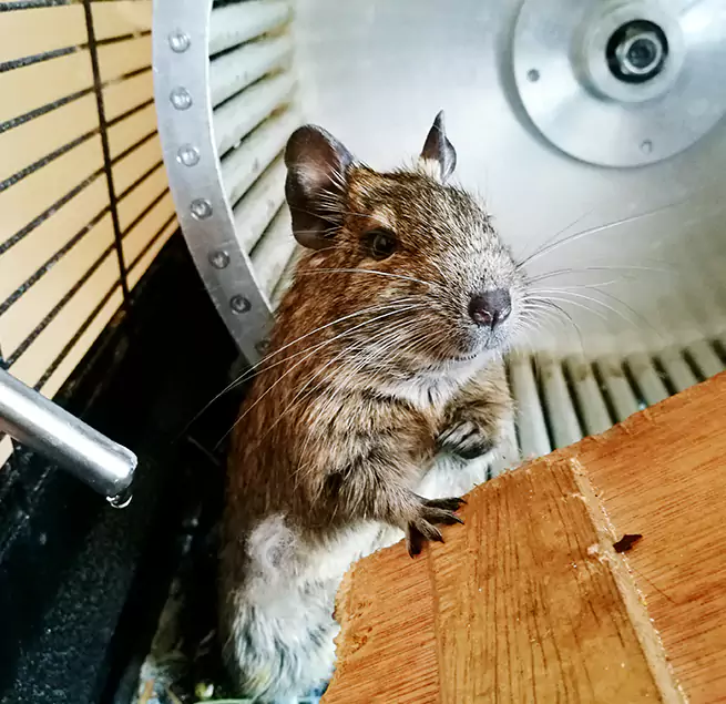 Why Homeowners & Businesses Trust Us Channelview, TX